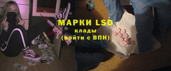индика Баксан