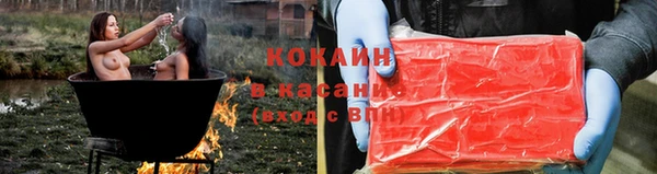 индика Баксан