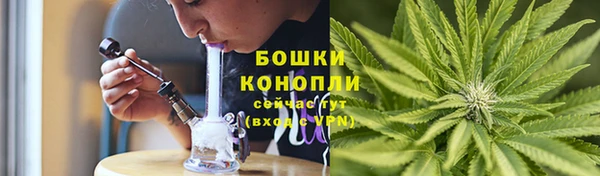 индика Баксан