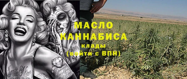 индика Баксан
