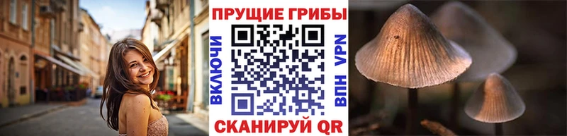 Галлюциногенные грибы GOLDEN TEACHER  нарко площадка Telegram  Буинск  купить наркоту 
